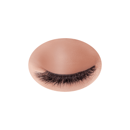 BONBORY Single Color Eye Shadow